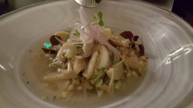 13843545_10154347807138851_612605308_o