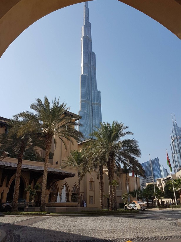 21392726_2025462564350781_1054949683_o