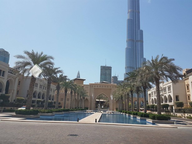 21439612_2025456577684713_1260262016_o