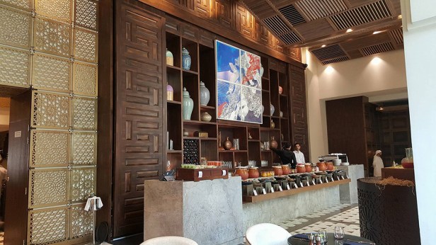 22199319_10214579085134715_48571017_o