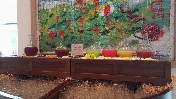 22279074_10214579085654728_262528841_o