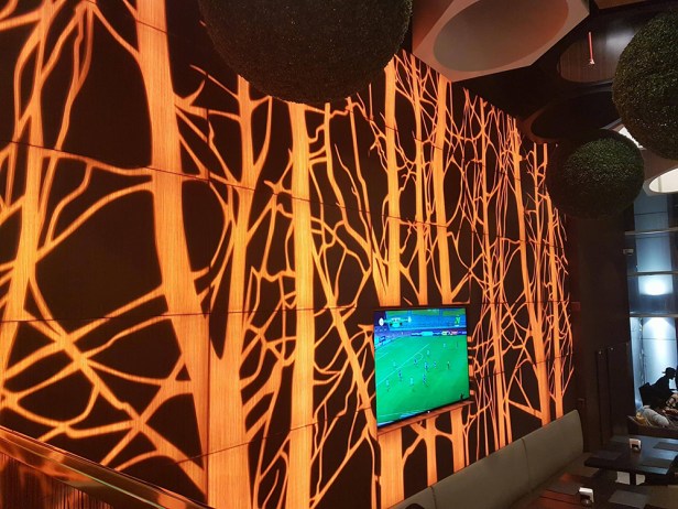 23758022_2057867434443627_1022153057_o