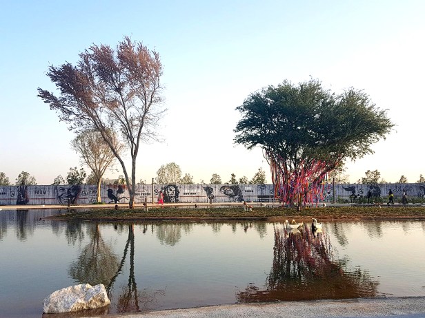 28275493_154467491923556_1849598623_o