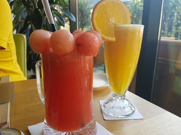 28309905_155437361826569_345101642_o