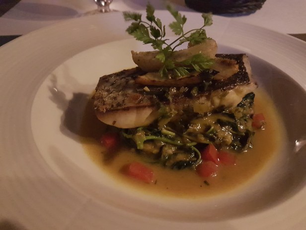 28755743_157985858238386_851324185_o