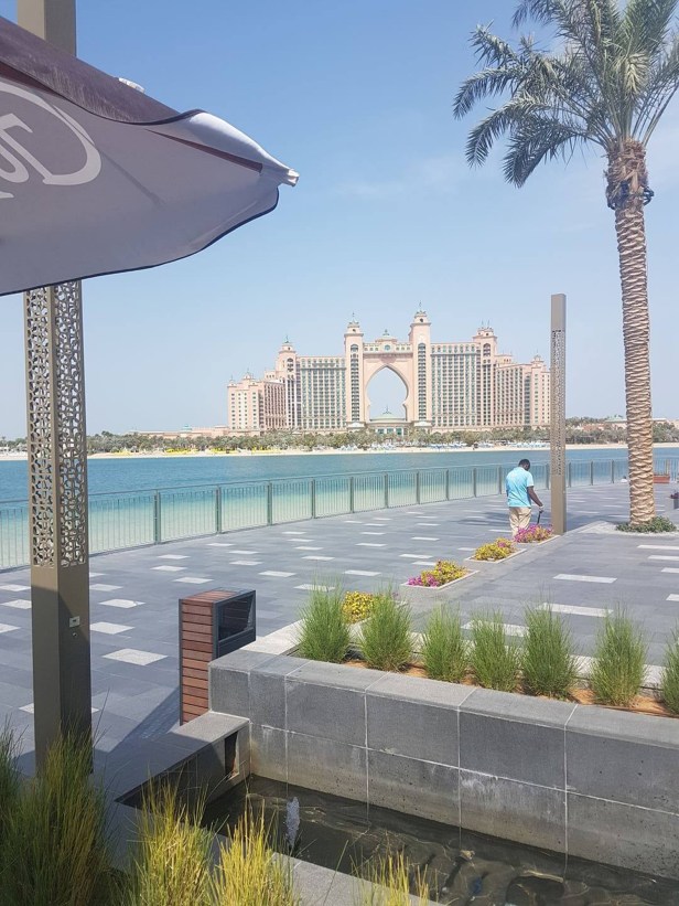 53900780_2209131262479752_4873732976862560256_n