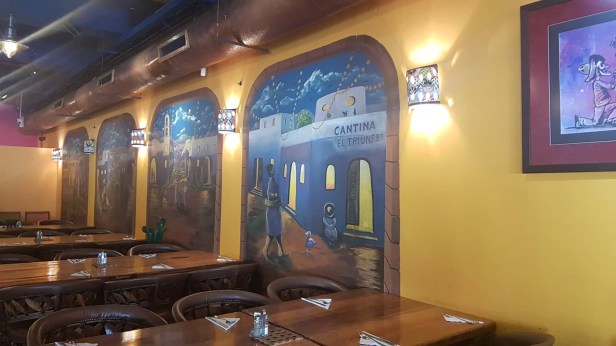 57336167_1123597541184461_7222978103776116736_n